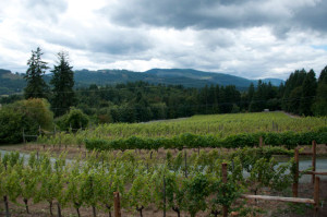 Another reason to visit Vancouver Island wineries: gorgeous landscapes