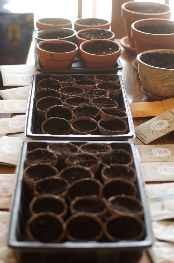 Starting Seeds Indoors & Cold Stratification EarthShine Astrology