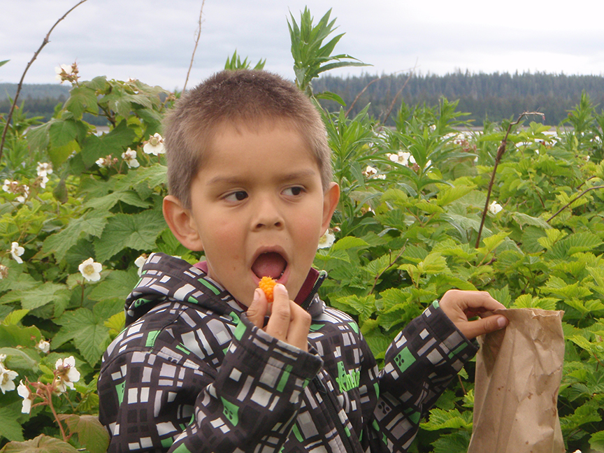 Eating salmon berries (photo credit: farmtocafeteriacanada.ca)