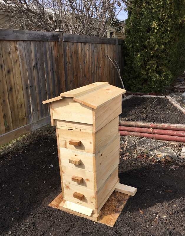 Warre-Langstroth hybrid beehive Edmonton urban beekeeping