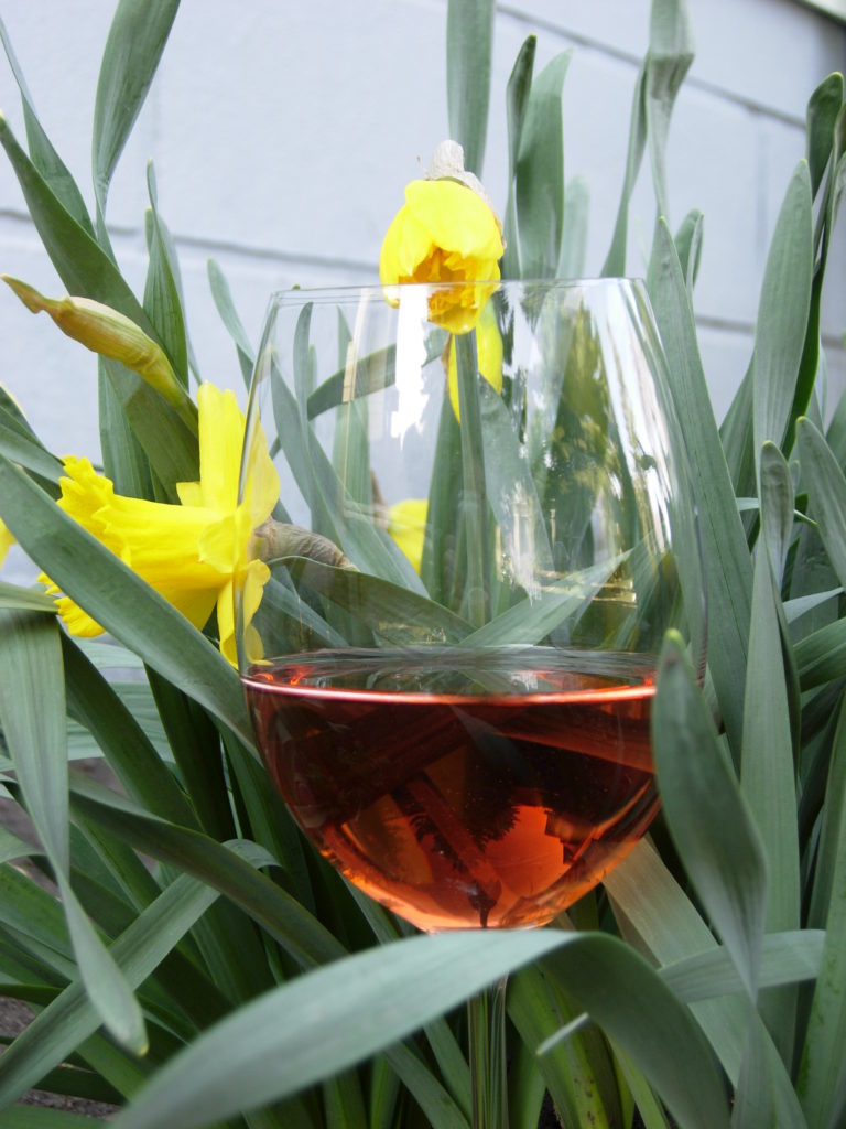 rose pink wine spring daffodil