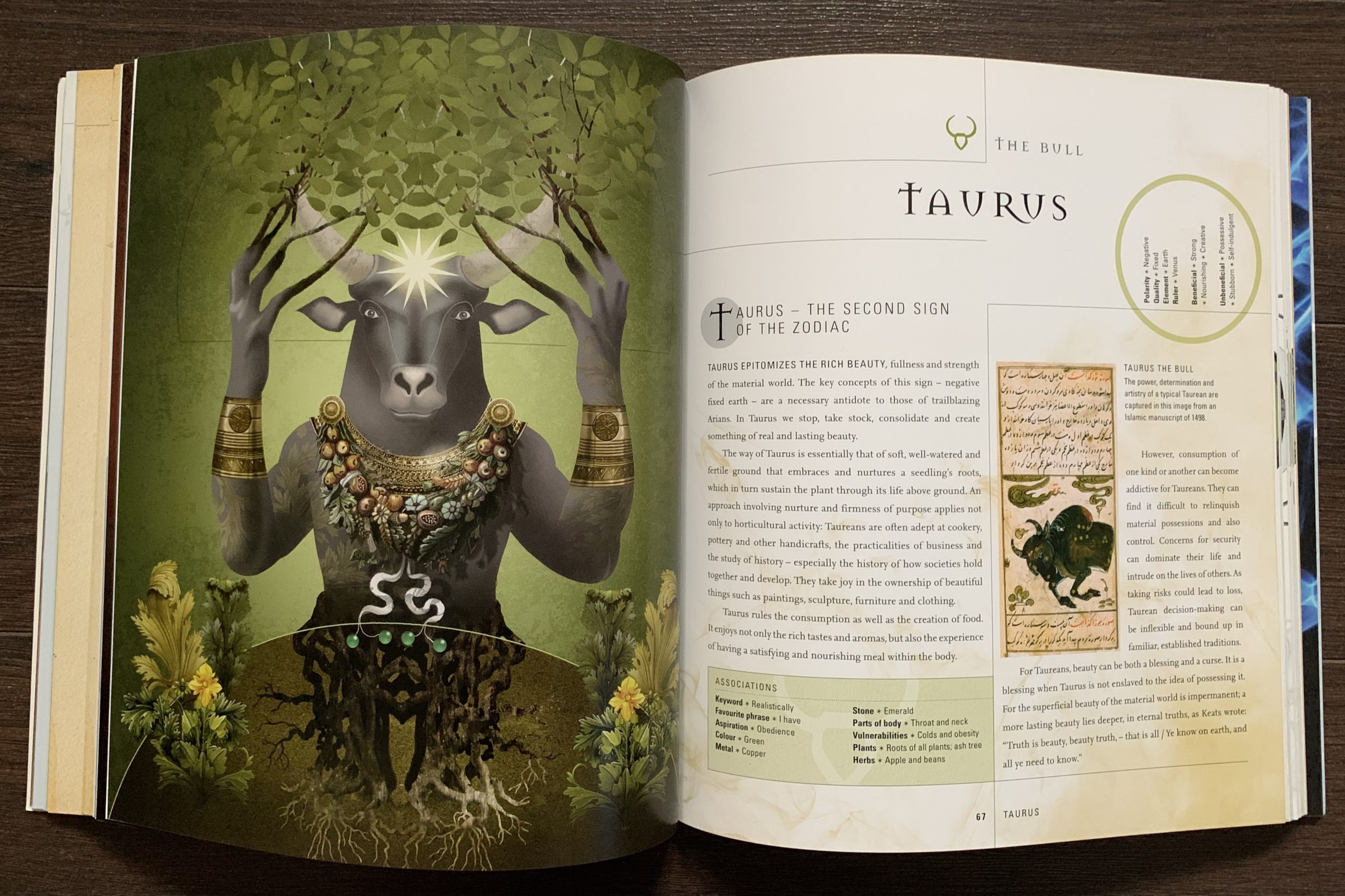 Taurus Love: The Secret Language They Use To Win You Over! - uaejbpm